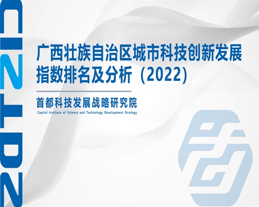 骚货插进来【成果发布】广西壮族自治区城市科技创新发展指数排名及分析（2022）